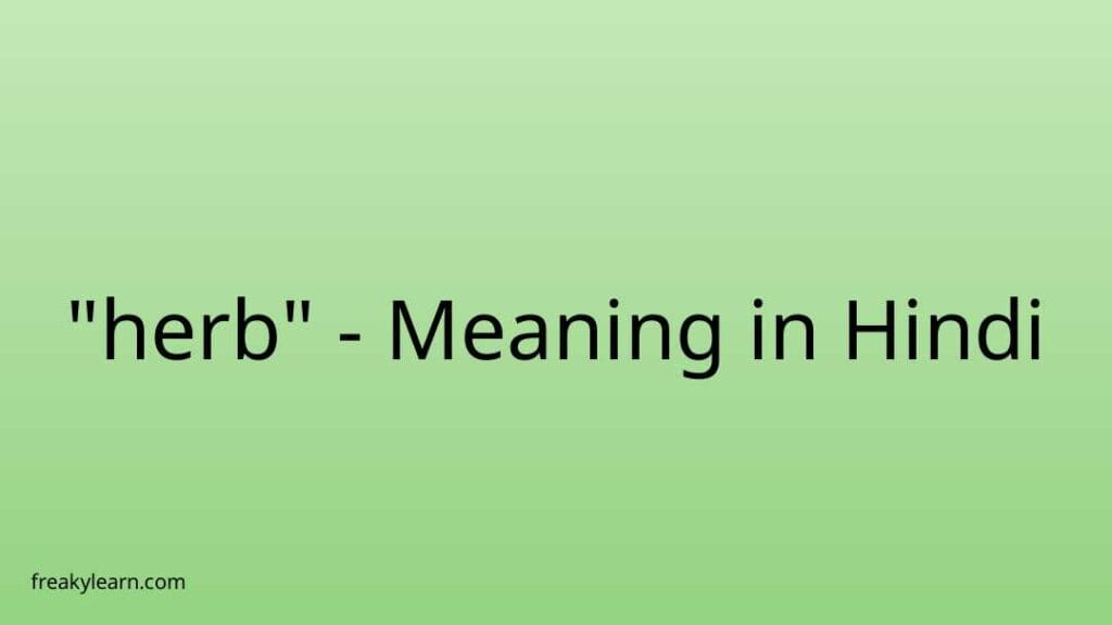 herb-meaning-in-hindi-freakylearn