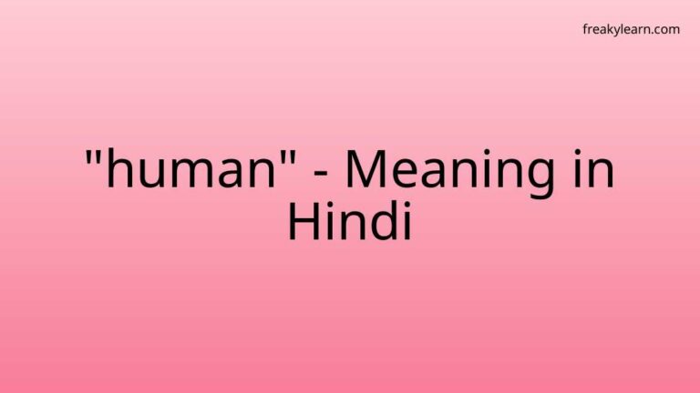 “human” Meaning in Hindi