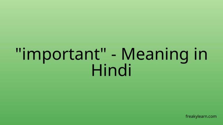 “important” Meaning in Hindi