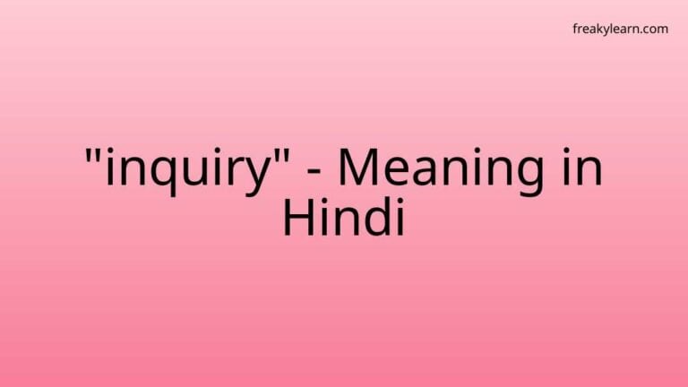 “inquiry” Meaning in Hindi