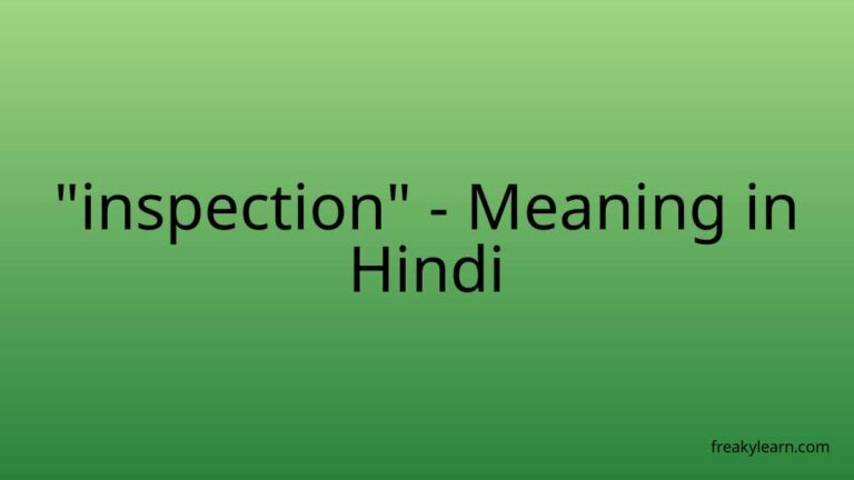 “inspection” Meaning in Hindi