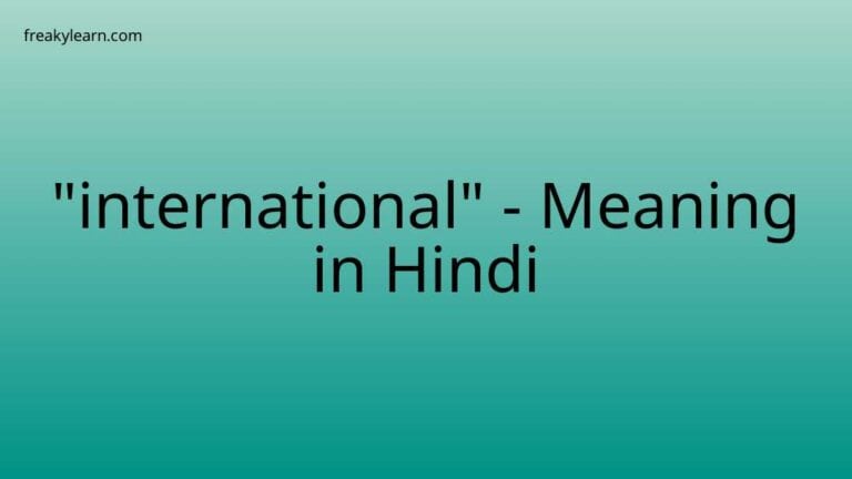 “international” Meaning in Hindi