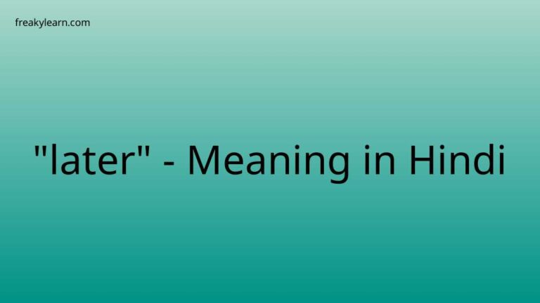 “later” Meaning in Hindi