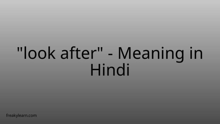 “look after” Meaning in Hindi