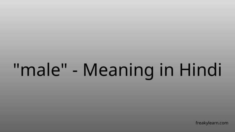 “male” Meaning in Hindi