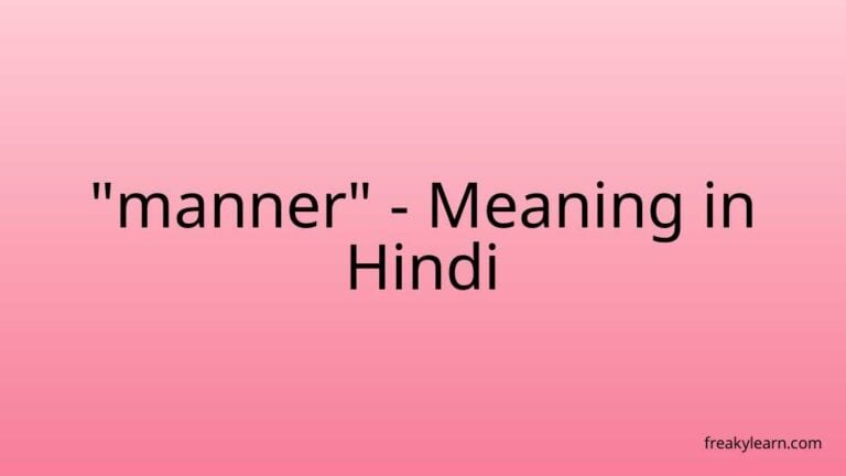 “manner” Meaning in Hindi