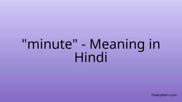 “minute” Meaning in Hindi