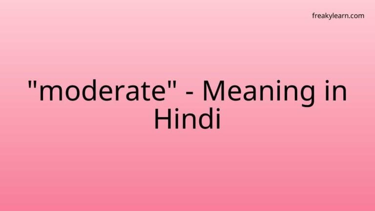 “moderate” Meaning in Hindi