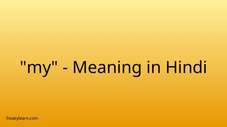 “my” Meaning in Hindi