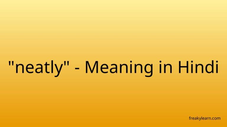 “neatly” Meaning in Hindi