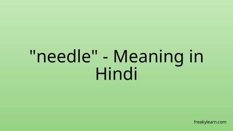 “needle” Meaning in Hindi