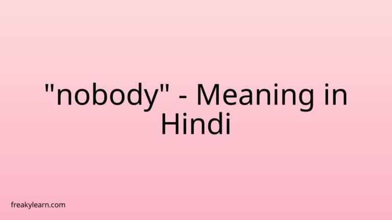 “nobody” Meaning in Hindi