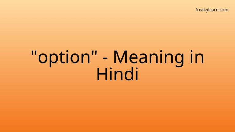 “option” Meaning in Hindi