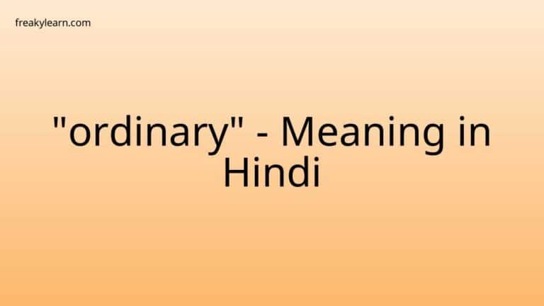 “ordinary” Meaning in Hindi