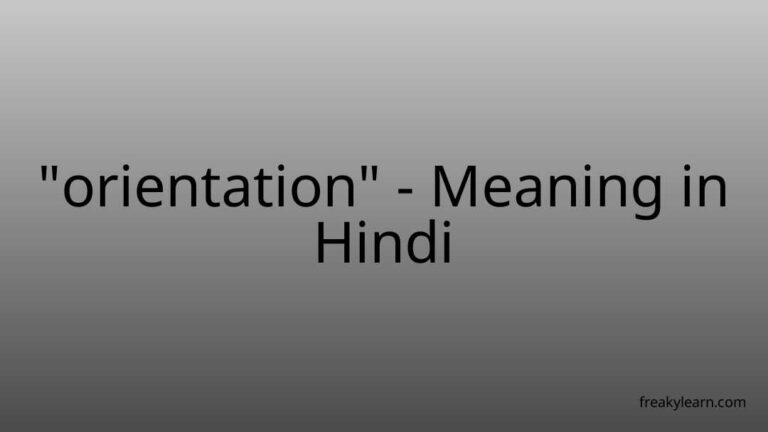 “orientation” Meaning in Hindi