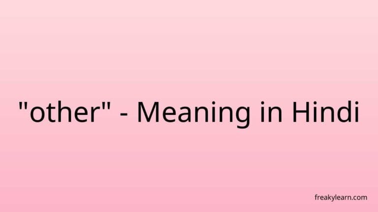 “other” Meaning in Hindi