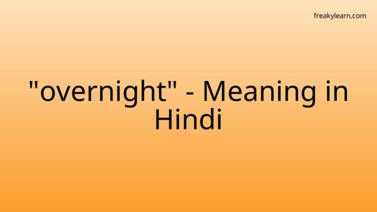 “overnight” Meaning in Hindi