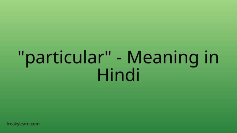 “particular” Meaning in Hindi