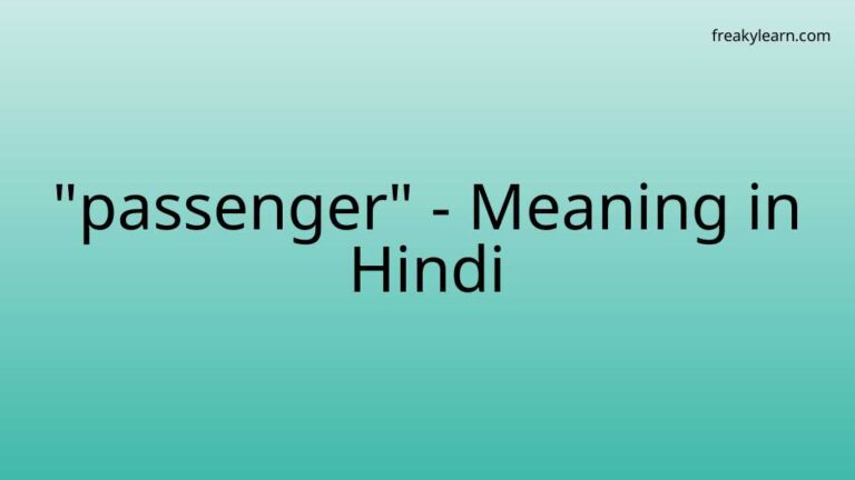 “passenger” Meaning in Hindi