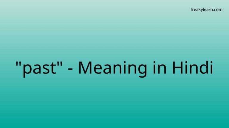 “past” Meaning in Hindi