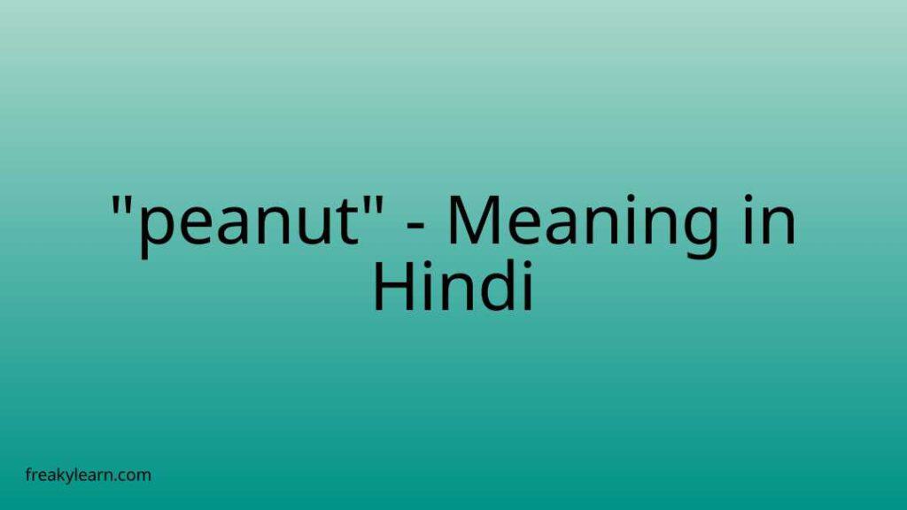 peanut-meaning-in-hindi-freakylearn