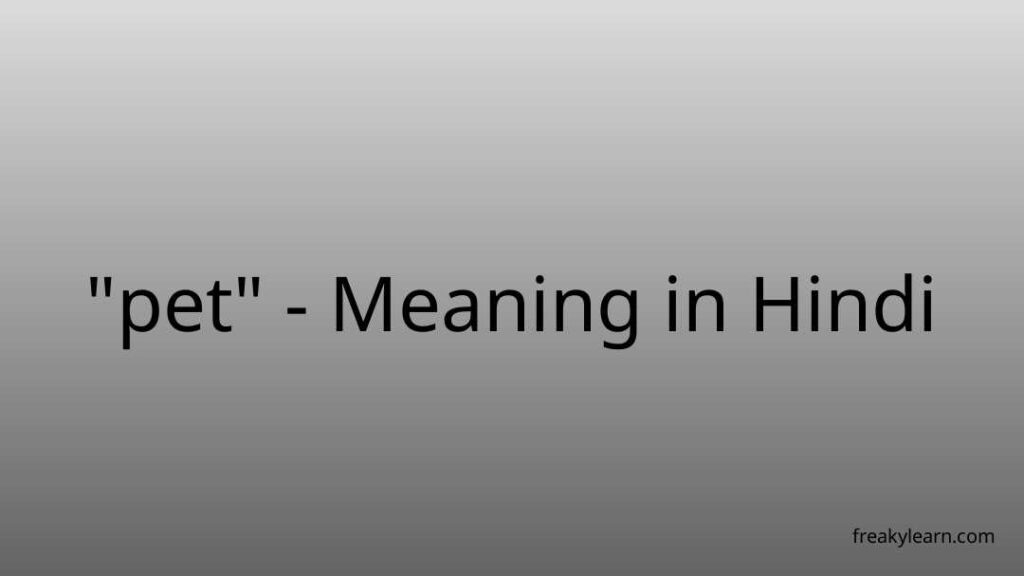 pet-meaning-in-hindi-freakylearn