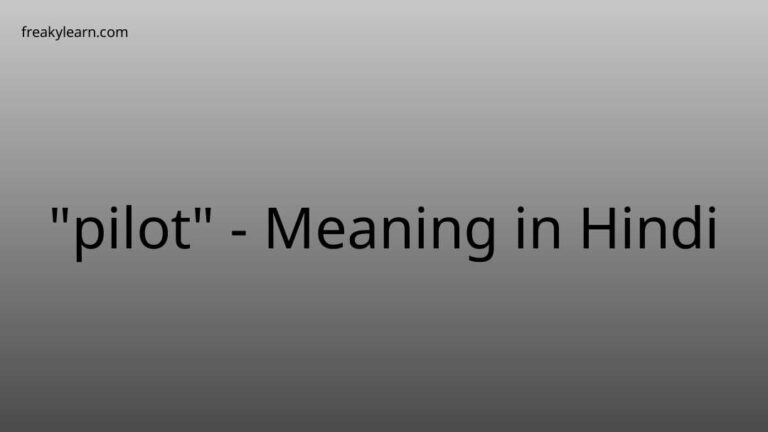 “pilot” Meaning in Hindi