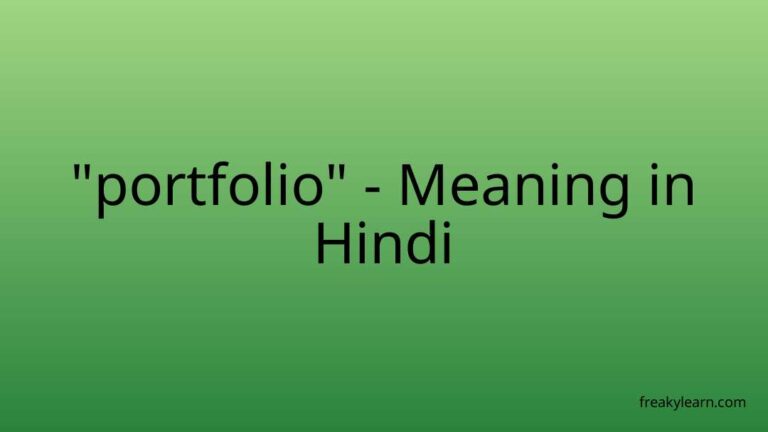 “portfolio” Meaning in Hindi