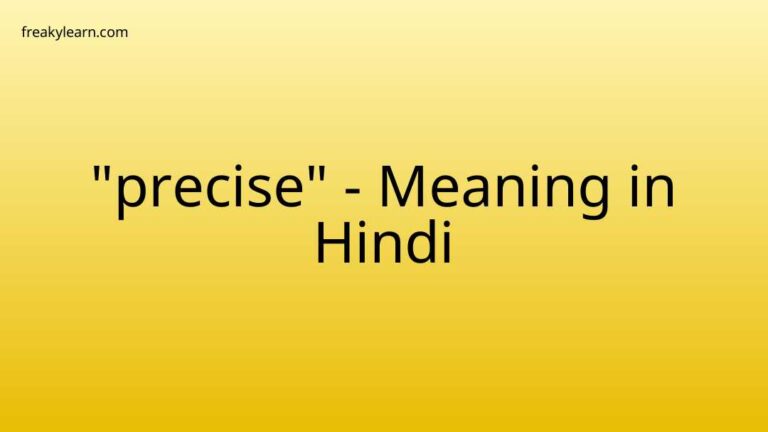 “precise” Meaning in Hindi