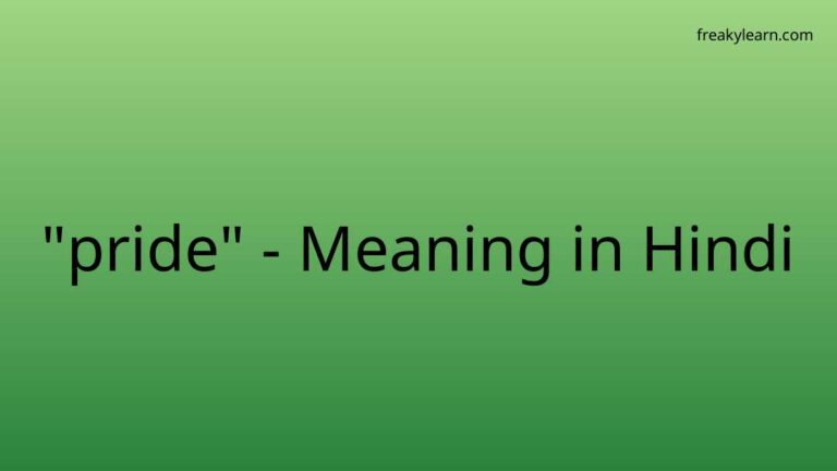 “pride” Meaning in Hindi