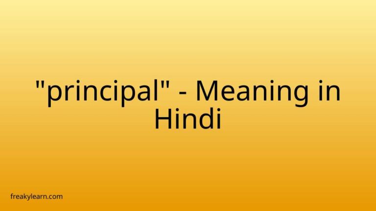 “principal” Meaning in Hindi