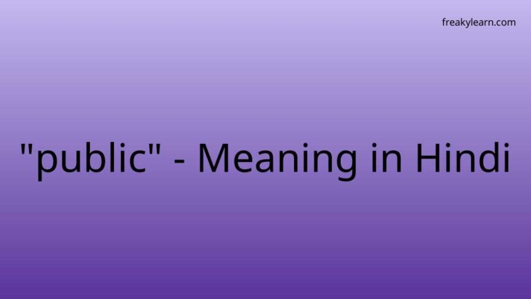 “public” Meaning in Hindi