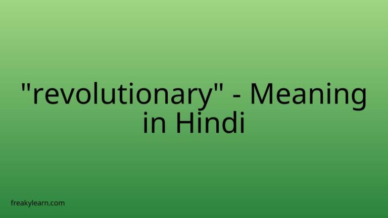 “revolutionary” Meaning in Hindi