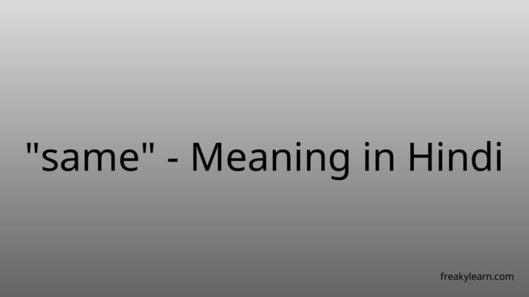 “same” Meaning in Hindi