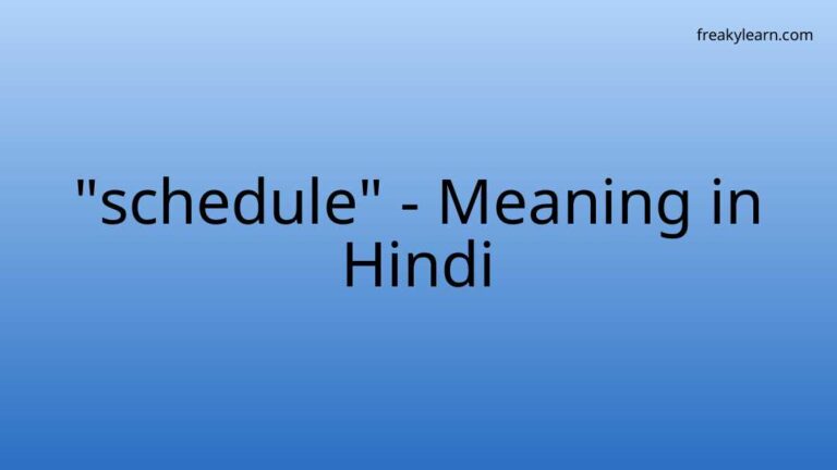 “schedule” Meaning in Hindi