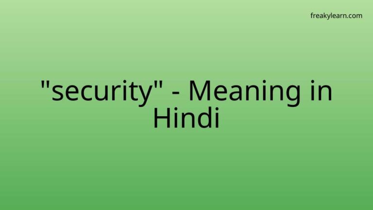 “security” Meaning in Hindi