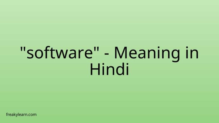 “software” Meaning in Hindi