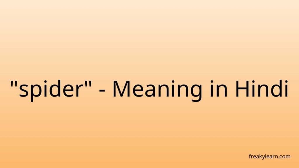 spider-meaning-in-hindi-freakylearn