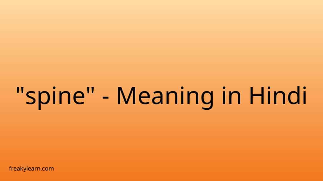 spine-meaning-in-hindi-spine-youtube