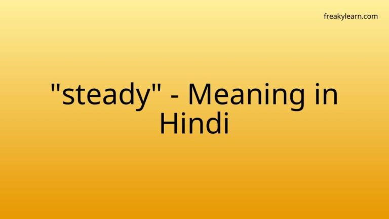 “steady” Meaning in Hindi