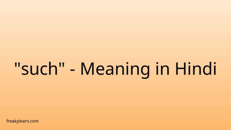 “such” Meaning in Hindi