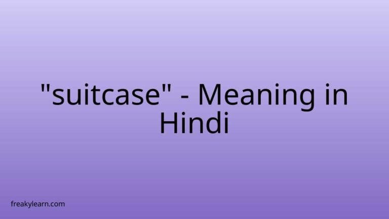 “suitcase” Meaning in Hindi