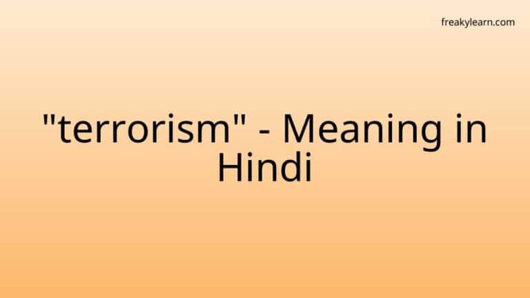 “terrorism” Meaning in Hindi