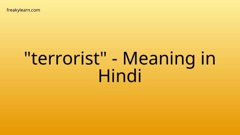 “terrorist” Meaning in Hindi