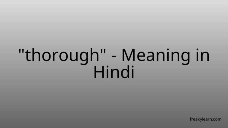 “thorough” Meaning in Hindi