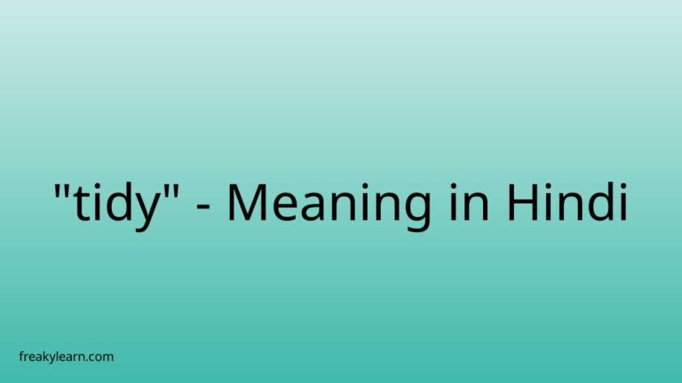 “tidy” Meaning in Hindi