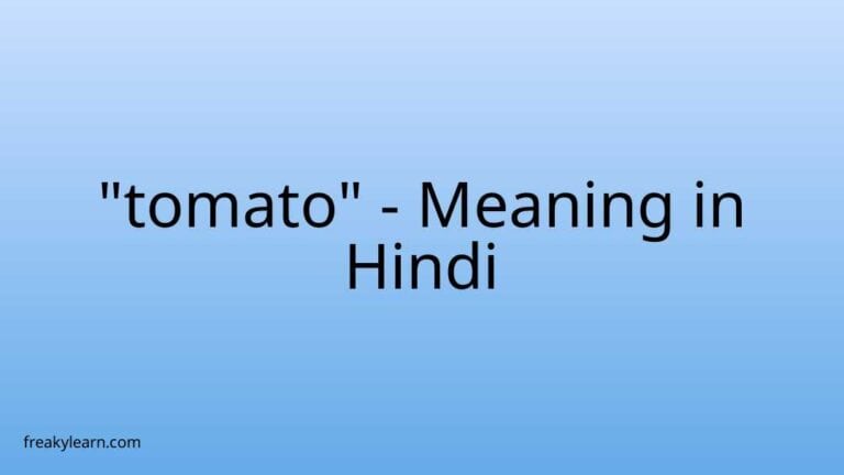 “tomato” Meaning in Hindi