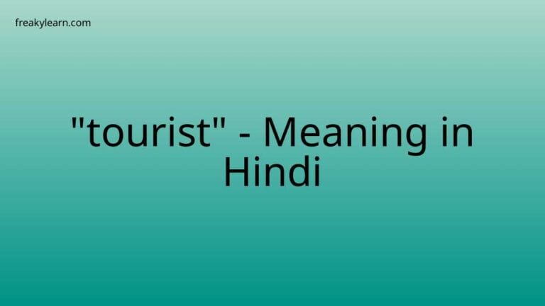 “tourist” Meaning in Hindi