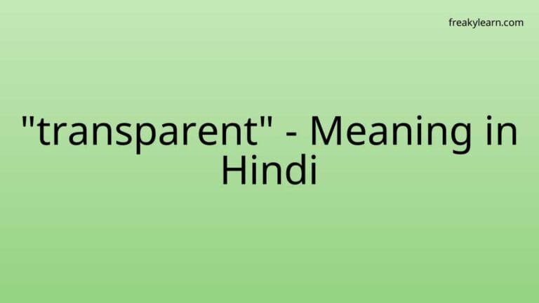 “transparent” Meaning in Hindi