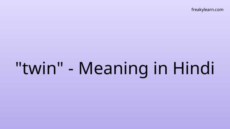 “twin” Meaning in Hindi